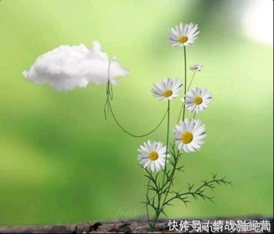 习惯喜欢的句子