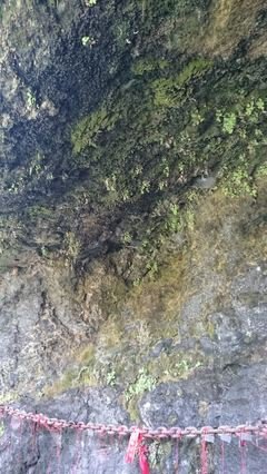 诗词寄情