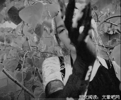 魏如萱的名言名句