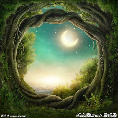树洞|异性交往中，“优秀”是个伪命题