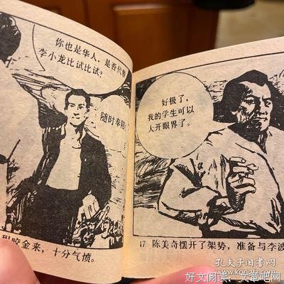 《李小龙传奇》观后感摘抄