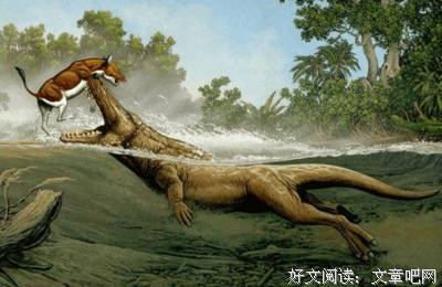 《史前一亿年》的观后感大全