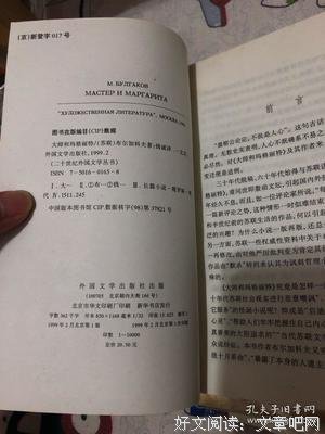 大师和玛格丽特经典读后感有感