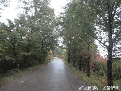 人间滋味读后感锦集