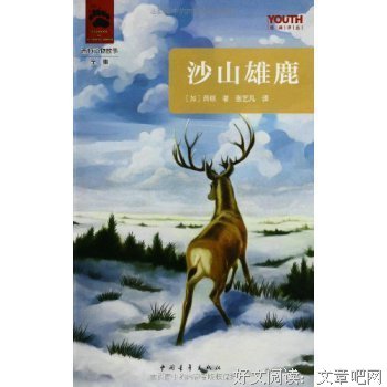 沙丘3：沙丘之子读后感1000字