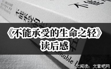 《一个陌生女人的来信》读后感100字