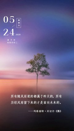 描写随风而逝的经典句子