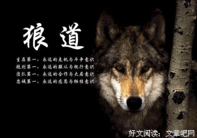 关于受不了的格言