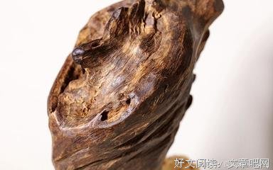 描写尽力而为的经典句子