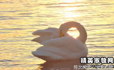 《世事如刀，我来领教》读后感精选