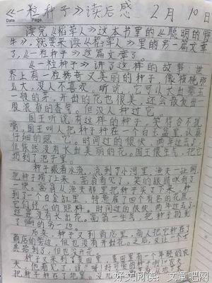 读懂一粒沙读后感精选