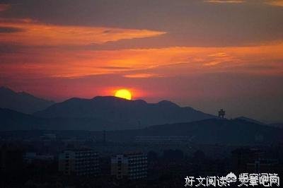 干杯，我们都是不完美父母读后感100字