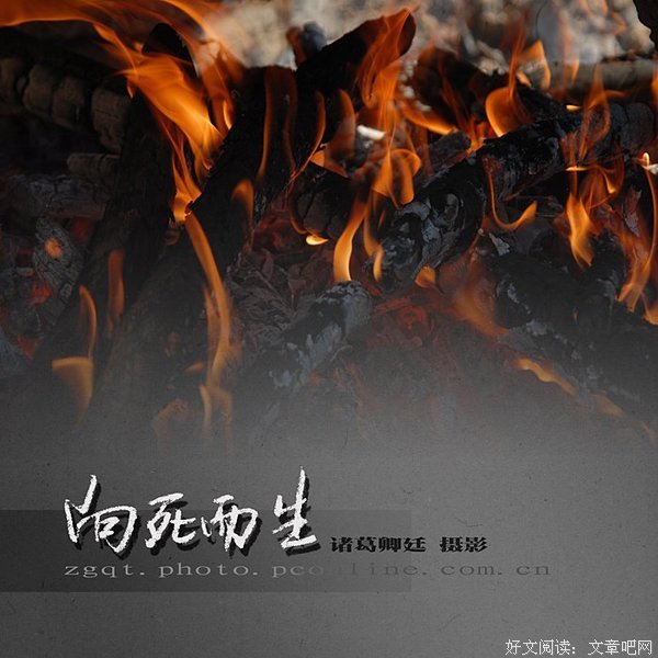 海德格尔与中国读后感精选