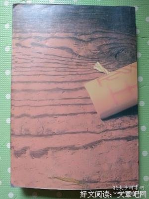 《使徒》读后感精选