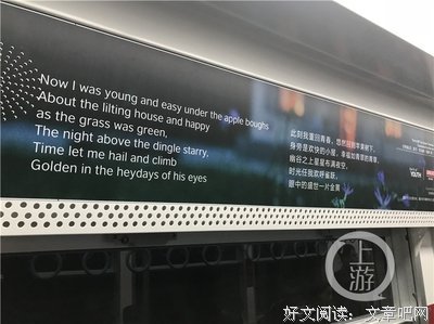 年西成以静好句子