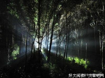 想看种用情太深经典的句子