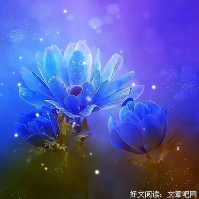 惊鸿一瞥 小大的打生格言优美的句子