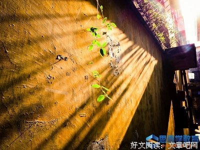 光好词好句