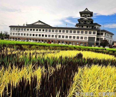 我的叹为观止、辗转心语