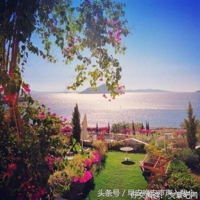 长大的优美句子