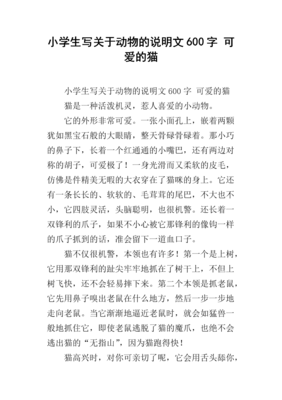关于感情【请回答系列】的优美句子