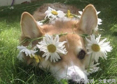 生个觉句子大全