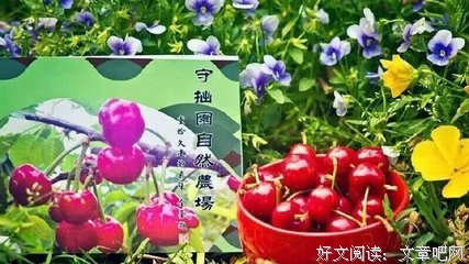 最经典的@新张利50句经典名言