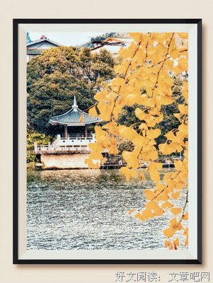 最经典的《一帘幽梦》经典名句