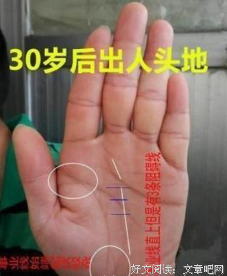 最全的《一生欠安》经典句子大全
