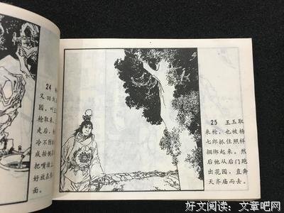 《杨家将》经典影评集