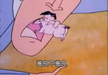 《哈哈镜花缘》的观后感大全