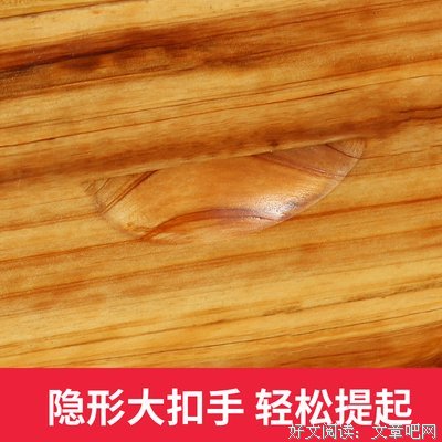 《蜜蜂公主》经典读后感有感