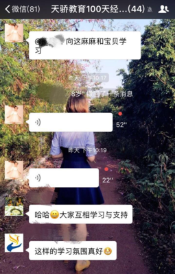 最后一百天读后感精选