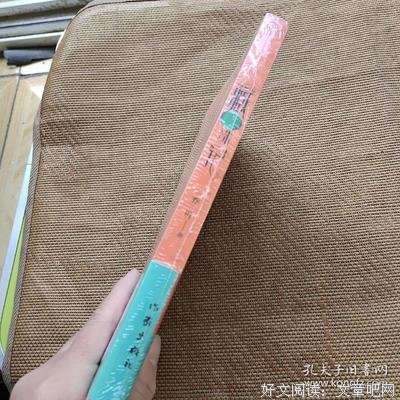 藏珠记读后感锦集