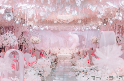 《婚礼之前与你告别》的读后感大全