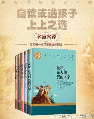 《你是人间理想》经典读后感有感