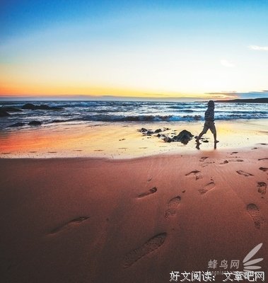 《斜阳》读后感1000字
