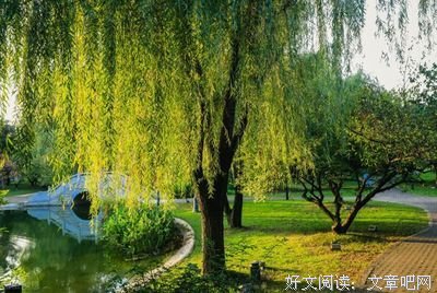 关于一字一句名言名句