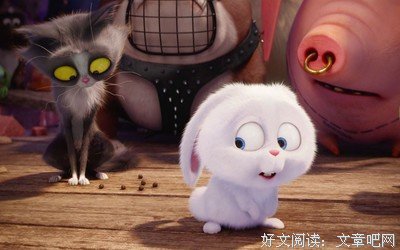 《爱宠》经典观后感有感