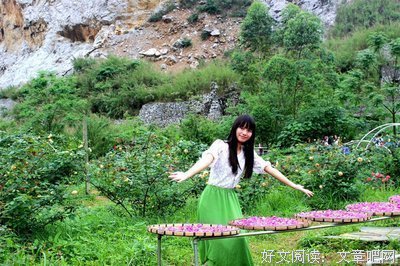 见过生活凌厉，依然内心向暖读后感1000字