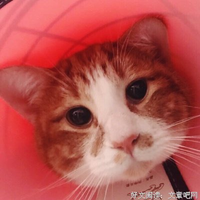 《肇事逃逸》影评摘抄