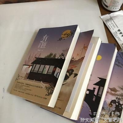 有匪4读后感1000字