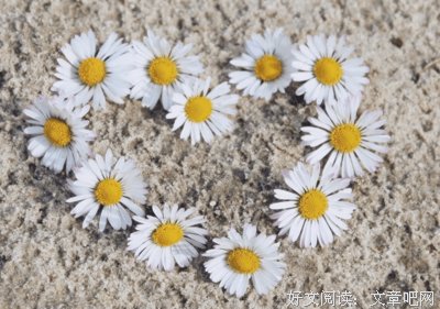 描写同甘共苦的经典句子