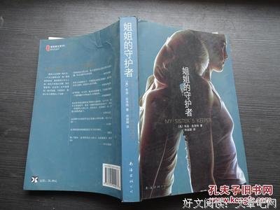 《姐姐的守护者》经典影评集