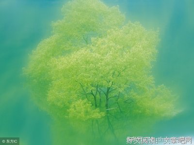心灵鸡汤的句子