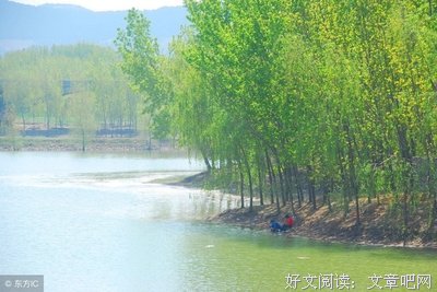 爱得寂寞好词好句