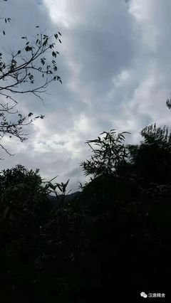 入林寻夕的句子