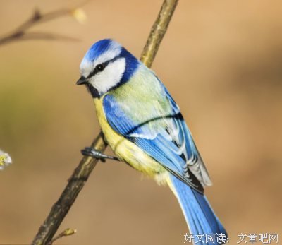 伤感经典名句
