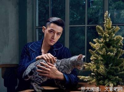 能不来要些年，爱的电影经典的句子
