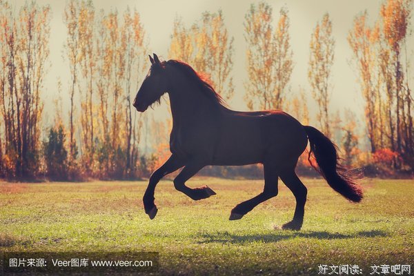 黑白留种生金于机的优美句子
